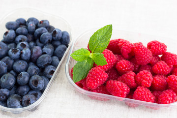 fresh bilberries and raspberries in a bowl