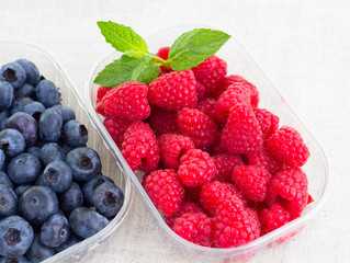 fresh bilberries and raspberries in a bowl