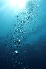 Zelfklevend Fotobehang Bubbels onderzees en zonnestralen © PlanctonVideo