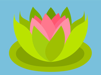 Lotus flower floating