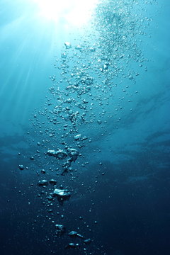 Fototapeta Bubbles undersea and sun rays