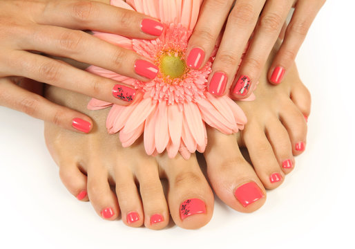 pink flower