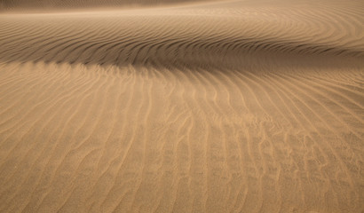 Desert sand dunes in Maspalomas Gran Canaria