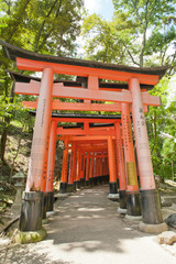 Fototapeta na wymiar Fushimi Inari