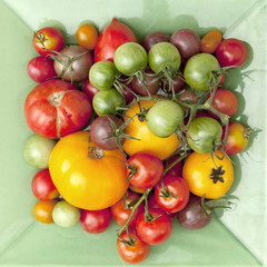 Tomatoes