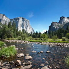 Californie - Yosemite National Park 