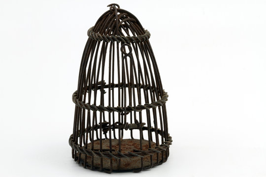 cage of crickets