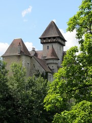 Fototapeta na wymiar château de cléron
