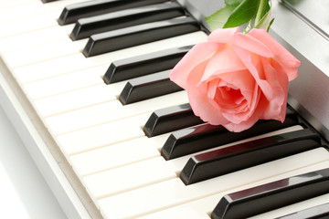 background of synthesizer keyboard with rose