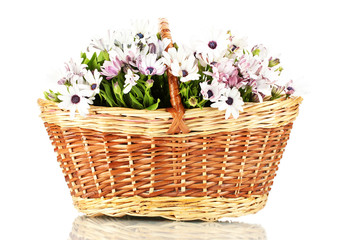 bouquet of beautiful summer flowers in basket, isolated on