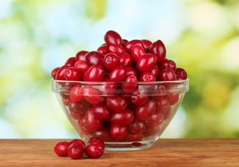 fresh cornel berries in glass bowl on green background close-up