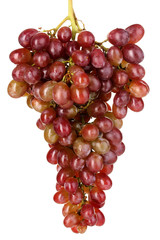 Delicious ripe bunch of grapes isolated on white