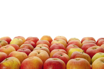 Bio-Äpfel