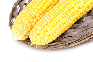 Fresh corn cobs on wicker mat isolated on white
