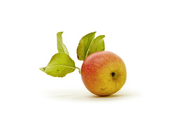 Bio-Apfel