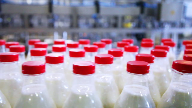 bottles with milk at factory move and stop