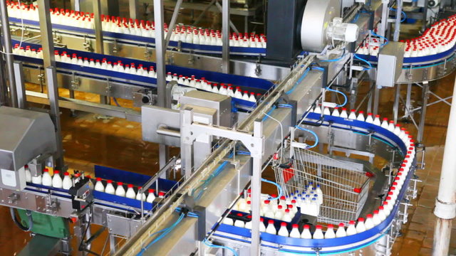 bottles of milk move conveyor first in one