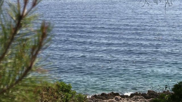 vue sur mer