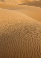 Desert sand dunes in Maspalomas Gran Canaria