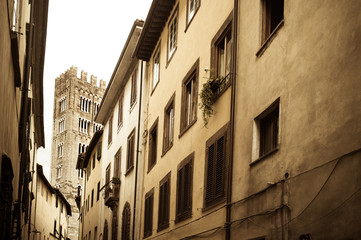 Fototapeta na wymiar San Frediano 4 - Lucca