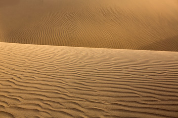 Desert sand dunes in Maspalomas Gran Canaria