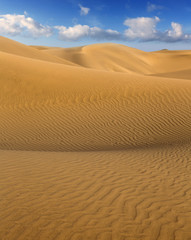 Fototapeta na wymiar Wydmy pustynia w Maspalomas Gran Canaria