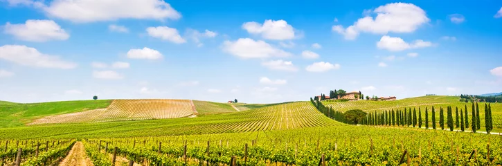 Gordijnen Het landschapspanorama van Toscanië met wijngaard, Chianti-gebied, Italië © JFL Photography