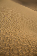Desert sand dunes in Maspalomas Gran Canaria