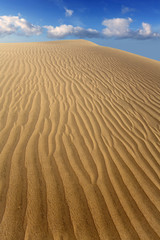 Desert sand dunes in Maspalomas Gran Canaria