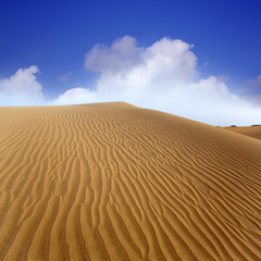 Desert sand dunes in Maspalomas Gran Canaria
