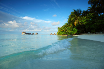 maldives landscape