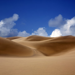 Desert dunes sand in Maspalomas Gran Canaria