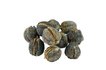 jatropha seed  on a white background