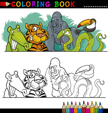 Wild Jungle Animals for Coloring