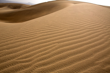 Desert dunes sand in Maspalomas Gran Canaria