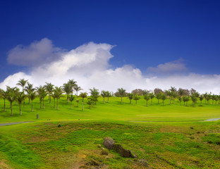 Gran Canaria Meloneras golf green grass