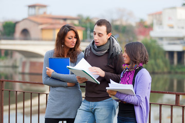 Multicultural College Students