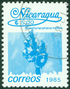 stamps shows tropical flower Neomarica caerulea