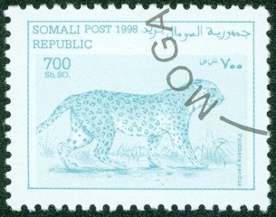 stamp printed in somalia showing leopard