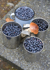 Fresh picked blueberries and mushrooms on the stone table