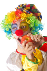 Funny clown on the white