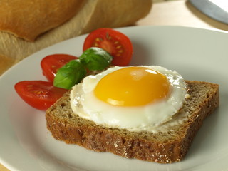 Fototapeta premium Sunny side up egg on a slice of bread
