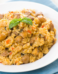 Risotto with mushroom on plate