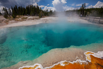 Yellowstone Park
