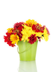 bouquet of beautiful summer flowers in bucket, isolated on