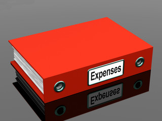 Expenses File Shows Accounting And Records
