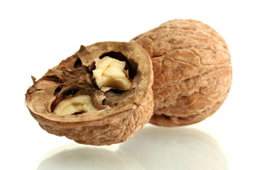 walnuts, isolated on white
