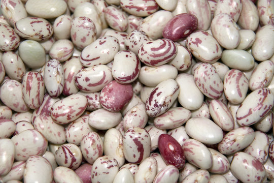 Borlotti Bohnen
