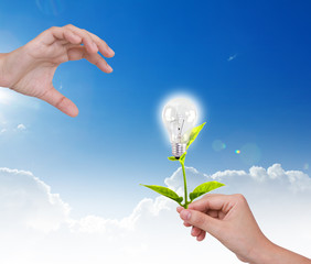 Light bulb with small plant in hand
