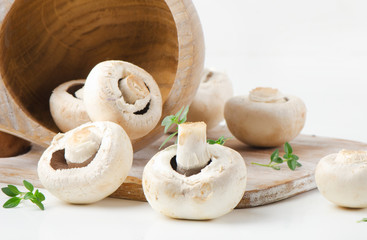Champignon mushroom